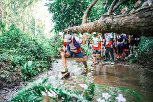 BIB: 
                            <button type="button" onclick="openModal(25516744)" class="btn btn-primary btn-sm float-right btn-popup" data-toggle="modal" data-target=".modal-high-quality">
                        <i class="fas fa-shopping-cart"></i> Add to Cart
                    </button>
                                            <button type="button" onclick="isThisMe(25516744, true)" class="btn btn-success btn-sm float-right btn-popup btn-isme hidden" data-toggle="tooltip" data-placement="bottom" title="นี่คือรูปของคุณใช่ไหม คลิกที่นี่เพื่อเอาเข้าอัลบั้ม">
                        <i class="fas fa-plus"></i> Add to album
                    </button>
                    <button type="button" onclick="isThisMe(25516744, false)" class="btn btn-warning btn-sm float-right btn-popup btn-isnotme hidden">
                        <i class="fas fa-ban"></i> Remove from album
                    </button>